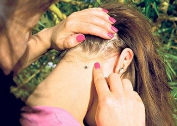 Bolesti koje prenose krpelji