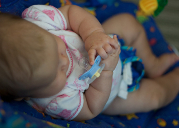 Cucla varilca – za i protiv