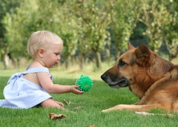 Bebe uz pse ređe obolevaju