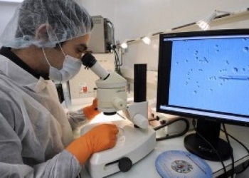 Cryo-save angažovao eksperta za matične ćelije u svojoj glavnoj filijali