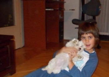 Kada pas stigne u dom