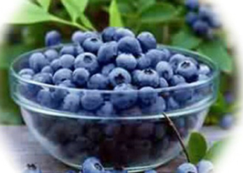 Ljubičasto je boja zdravlja