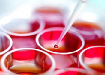 Matićne ćelije i lepota