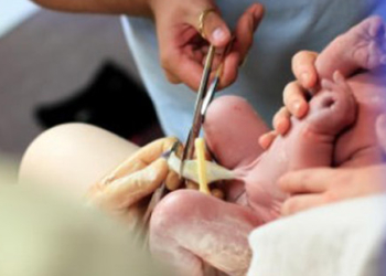 Matične ćelije – kako rade?