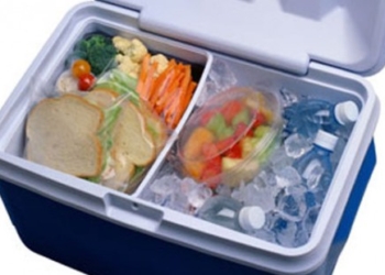 Mikroorganizmi koji „vrebaju“ iz hrane