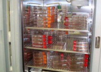 Poseta banci matičinih ćelija u Milanu