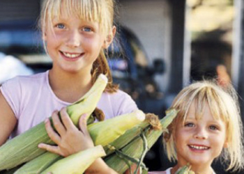 Zdrava užina in ili out