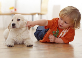 Kako da izaberete kućnog ljubimca?