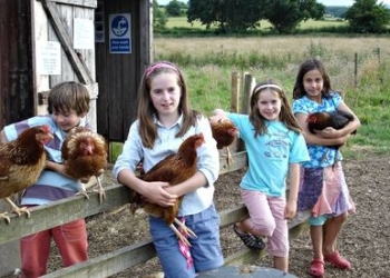 Kokoške kao nastavna sredstva