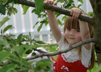 Šta svaki roditelj treba da zna o razvoju deteta?