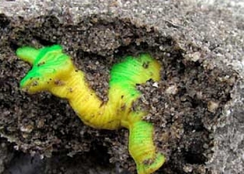 Napravite jaje dinosaursa za svoje klince