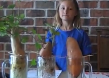 Devojčica u trećem razredu pokazala prednosti ekološki gajene hrane