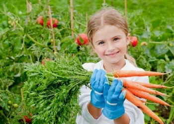 Koje namirnice bi pre svih trebalo da kupujete organske?