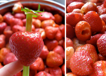 Odlični trikovi sa voćem