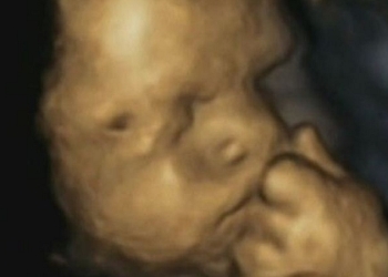 Beba u stomaku oseća stres svoje majke!