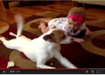 Kuca koja pokazuje bebi kako se puzi