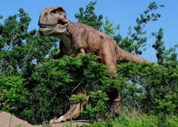 Dinosaurusi stižu na Kalemegdan