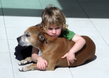 Pravila za mame dečaka