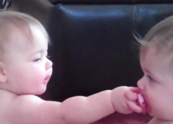 Dve bebe, a jedna cucla!