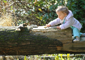 Šta je OSB metod vaspitanja?
