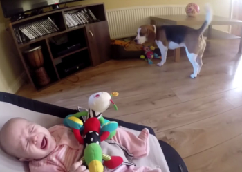 Prvo je rasplakao, potom se izvinio…