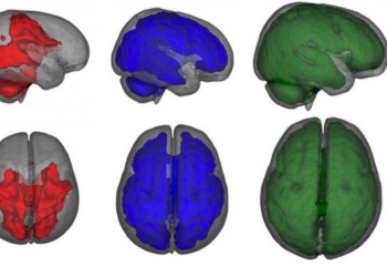 Neverovatan uticaj dojenja na razvoj delova mozga