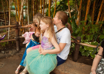 Da bi ste bili srećni, kupujte iskustva a ne stvari