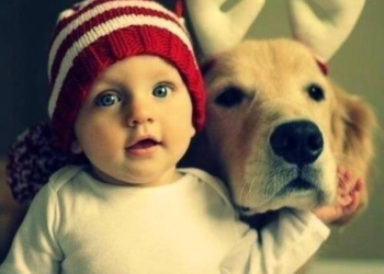 Praznične fotografije beba i njihovih najvernijih drugara