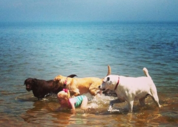 Da nisam možda kuca ili maca, ili…