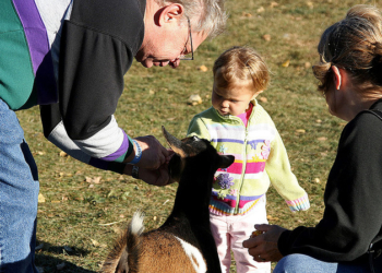 Baka i deka imaju važnu ulogu u odrastanju vašeg deteta