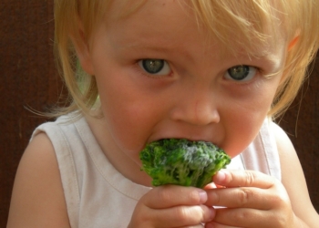 Brokoli – zdravlje na dohvat ruke