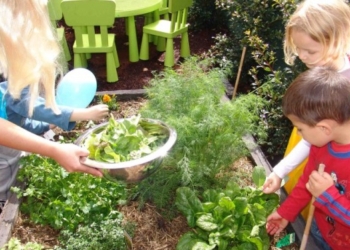 Bašta kao vaša mašta