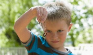 Caucasian boy looking at worm