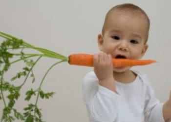 Šargarepa – izvor vitamina za bebu