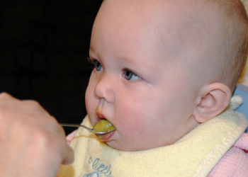 Bebin ručak: Domaće kašice od povrća