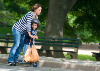 Izabrano zanimanje: domaćica