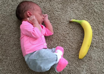 Koliko su bebe zaista male kada se rode?