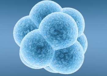 Koliko košta vaše dete?