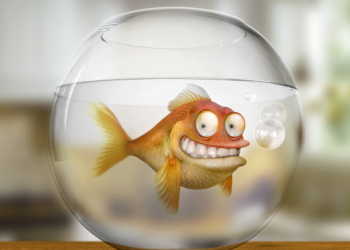 Metoda prolongiranog trodnevnog umiranja zlatnih ribica