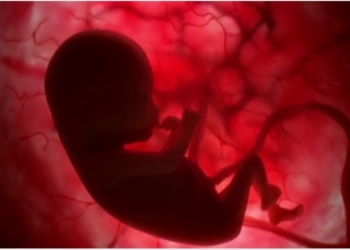 Prosvetiteljsko roditeljstvo