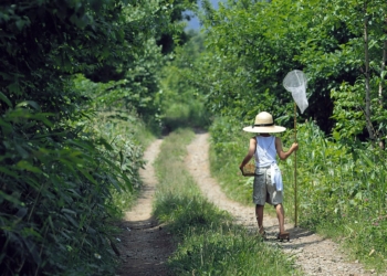 Kako izvesti dete na pravi put