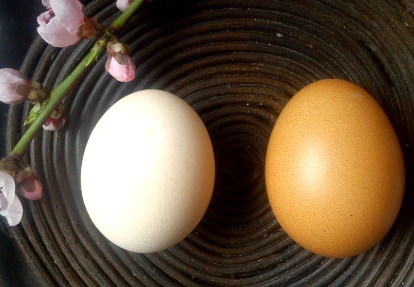 izbeljivanje jaja