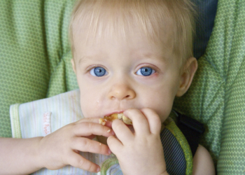 alerogogene namirnice