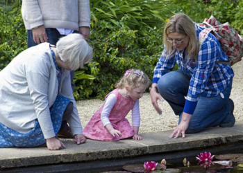 Da li bake i deke imaju obavezu čuvanja unučića
