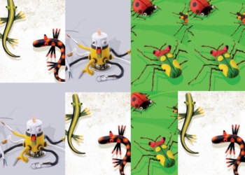 Šta sve možeš s plastelinom