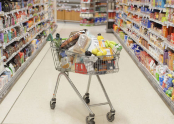 Papović: Srbija je deponija za robu iz EU