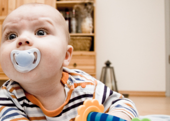 Šta kad cucla padne na pod?