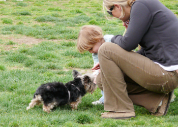 Savet psihologa: Kućni ljubimci nose odgovornost,  ali i uče odgovornosti dece