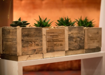 Dodeljene Nagrade za korporativno volontiranje po sedmi put