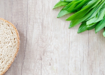 Priroda na dar: Sremuš